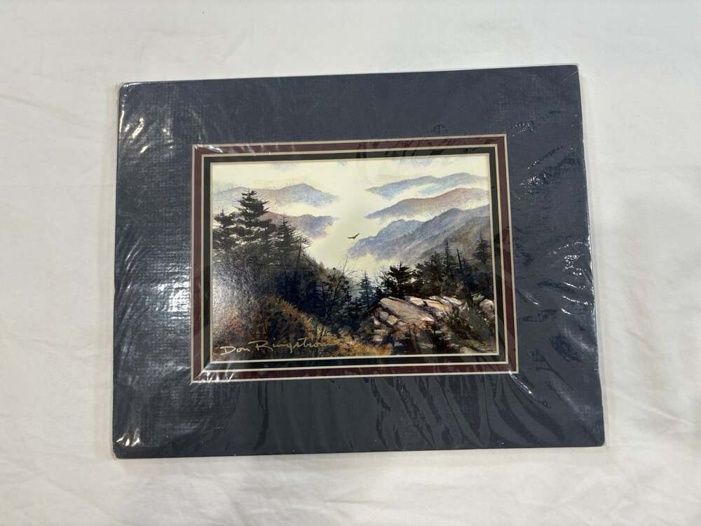 Don Ringstrom Matted High In The Smokie Mountains Signed